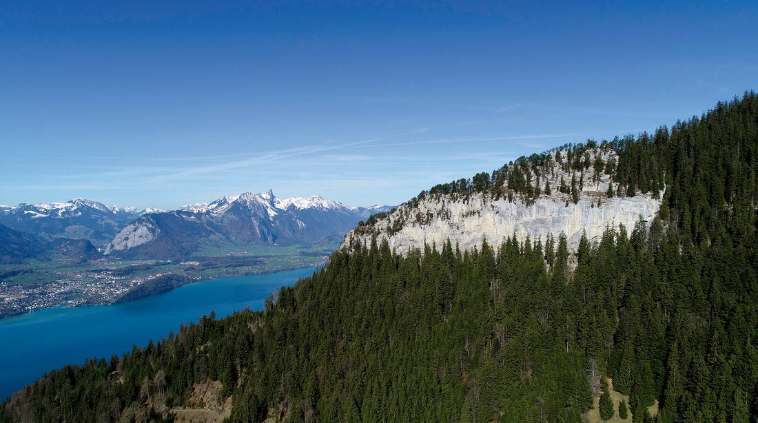 Routeninfos und Topos zum Klettergebiet «Schwandfluh» findest du im Kletterführer «Schweiz extrem West Band 1» von edition filidor.