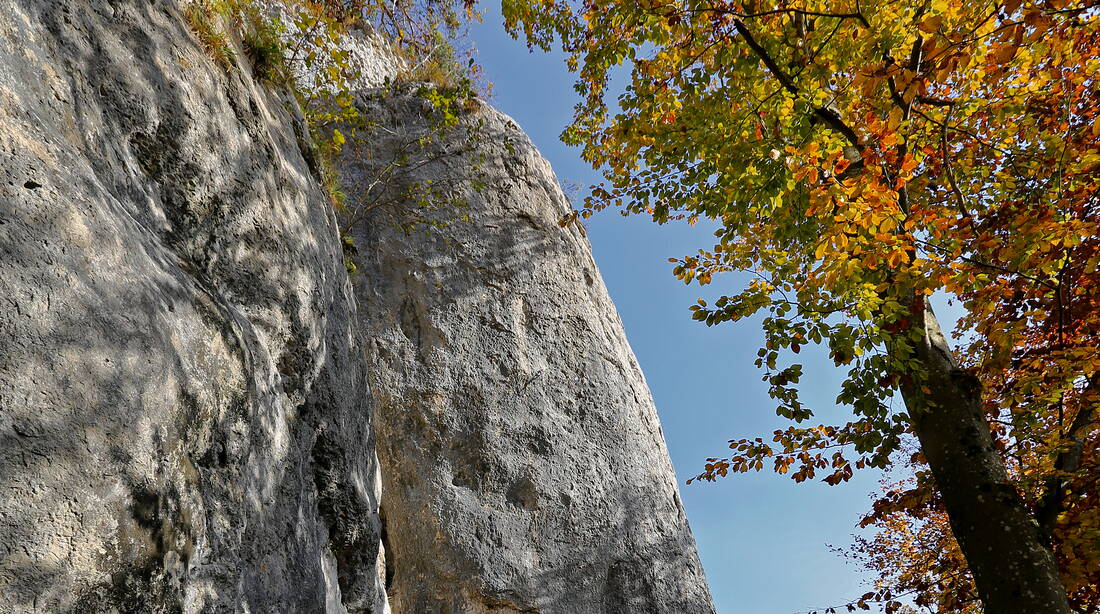 Routeninfos und Topos zum Klettergebiet «Tüfleten» findest du im Kletterführer «Schweiz plaisir JURA» von edition filidor.