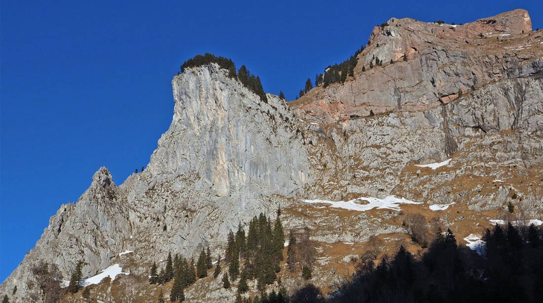 Geissstock – edition filidor Geissstock – edition filidor