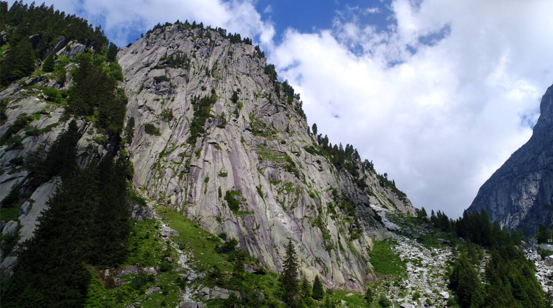 Sandbalm – edition filidor Sandbalm – edition filidor