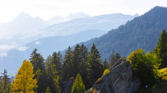 Siat Routeninfos und Topos zum Klettergebiet «Siat» findest du im Kletterführer «Schweiz plaisir OST» von edition filidor.