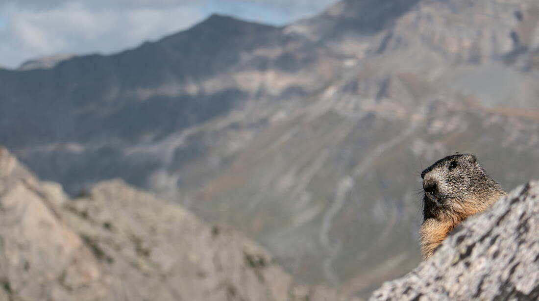 Lungern – edition filidor Lungern – edition filidor