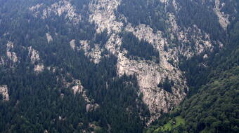 Routeninfos und Topos zum Klettergebiet «Freggio» findest du im Kletterführer «Schweiz Plaisir SUD 2020» von edition filidor.